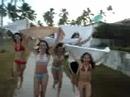 Tomb�o