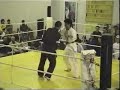 Kyokusin Karate VS Wing Tsun