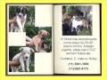Campanha de adoção de cães - SP - Março/2008