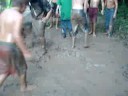 Mudd Derby