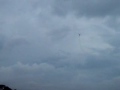 1st Forced Autorotation