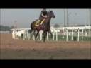 Dubai Winter Carnival - LET IT ROCK!