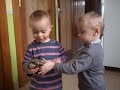 salima la tortue