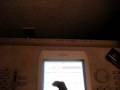 videos de recent clips