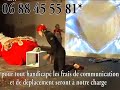 pi�ce de la cie niza