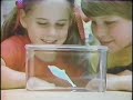 WTCG Commercials#1 (1979) Six Flags, Glo Shield, Alien WTCG Commercials#1 (1979) Six Flags, Glo Shield, Alien