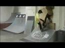 crailtap clips of the day 2007 (2/3)