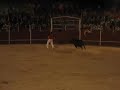 Recortes Albares 2007