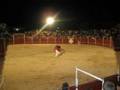 Recortes Albares 2007