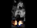 video-colax