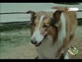 Lassie - Sigla (Dolce Lassie) Lassie - Sigla (Dolce Lassie)
