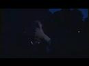 Buchtrailer: Die Rache des Dionysos (Luca Di Fulvio)