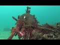Underwater NSW: Vol 1 Sydney DVD Trailer