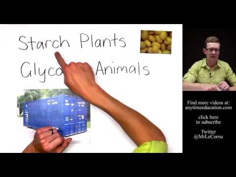 how to dissolve chitin