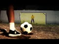 comercial vivo tigre
