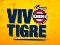 comercial vivo tigre
