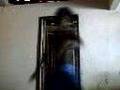 Assistir ao v�deo
