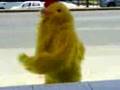 Botarga de Pollo