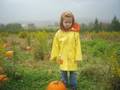 Pumpkins and Apples