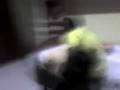 videos de super slan part 1