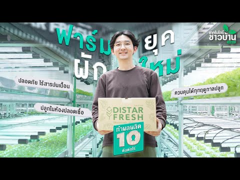 ฟาร์มผักยุคใหม่ ปลูกในห้องปลอดเชื้อ ปลอดภัย ไร้สารปนเปื้อน