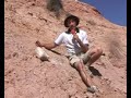 TURISMO EN GENERAL ROCA - PALEONTOLOGIA TURISMO EN GENERAL ROCA - PALEONTOLOGIA