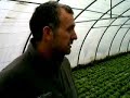 AGRICULTURA ECOLÓGICA BAJO PLÁSTICO