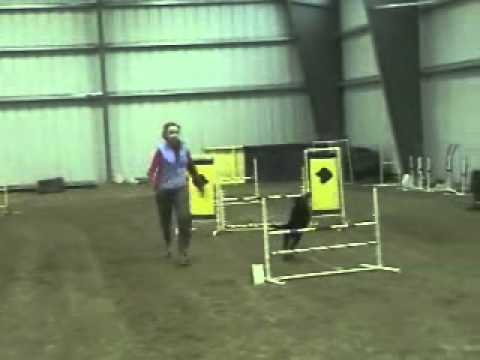 See video