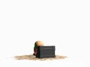 Worms 3D Worms 3D
