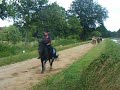 JT2 Rengalop kanaal