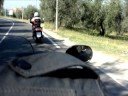 Xmax Club Italia - Sempre on the road
