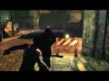 Dark Sector Review