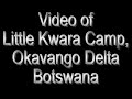 : Little Kwara Camp with Botswana Odyssey