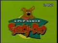 A Pup Named Scooby Doo