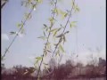 Aoki Takamasa + Tujiko Noriko - Vinyl Words
