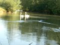 Modif. d'un p'tit bateau éléctrique 1ère Par Steph (Tac)