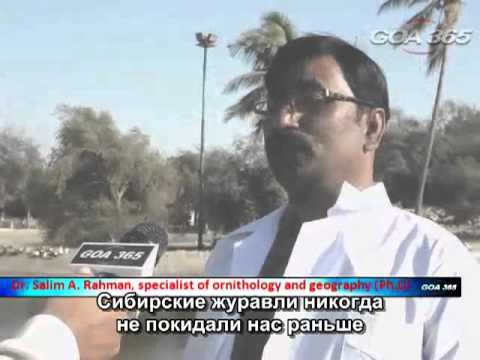 YouTube Трейлер