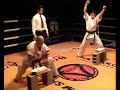 seiwakai   karate de combate
