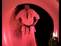 seiwakai   karate de combate
