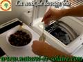 La noix de lavage, une lessive bio 100% naturelle!