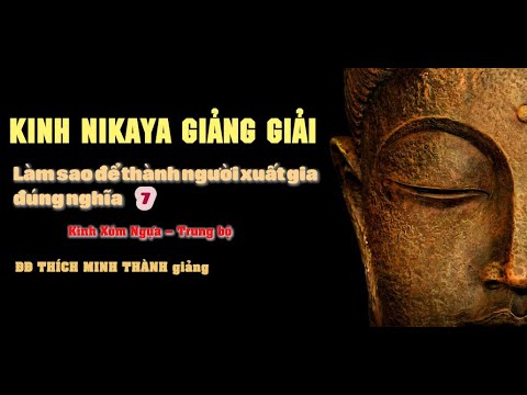 Kinh NIKAYA Giảng Giải - Làm Sao Để Thành Người Xuất Gia Đúng Nghĩa 7 ?