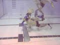 octopush tournament