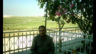 قرية المنشية  - فلسطين.wmv