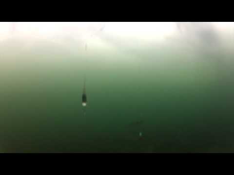 See video