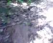 videos de Kudremukh