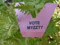 Myzzty vote 109 Myzzty vote 109