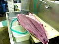 FISH  HON MAGURO  44KG sushi bluefin tuna part 2