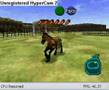 Play-As-A-Horse