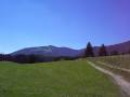 Grünten