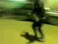 Skate mati